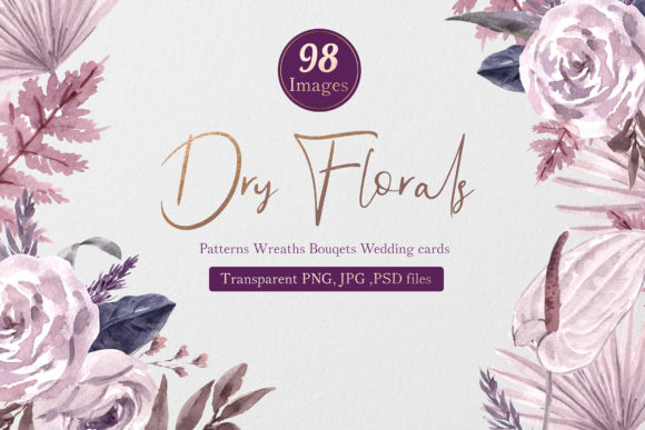 Dry Florals Illustration Watercolor