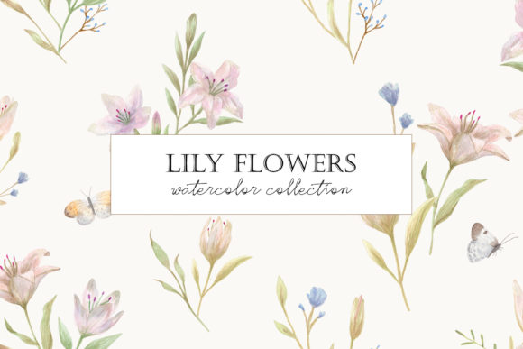 Lily Flowers. Watercolor Cliparts