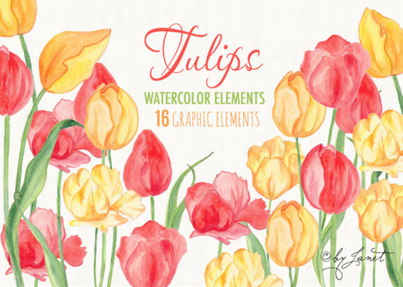 Tulips Watercolor Clipart and Illustrations