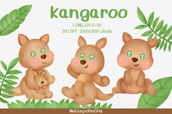 Watercolor Cute Kangaroo Clipart and Illustrations