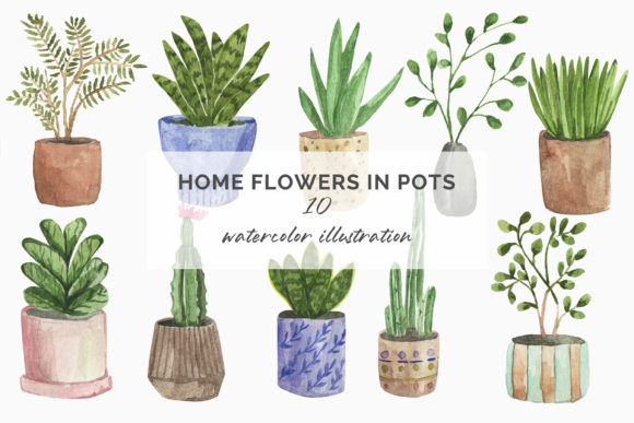 Watercolor Illustration Home Flowers