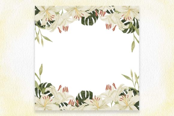 Watercolor Lily Flower Frame Border and Illustrations