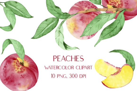 Watercolor Peaches and Leaves Clipart