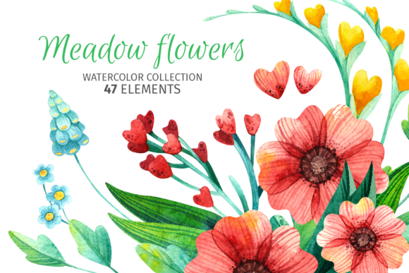 Watercolor Png Flowers, Patterns, Frames