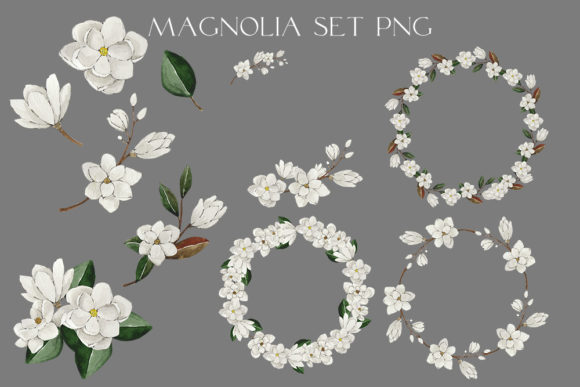 Watercolor Set of White Magnolia PNG