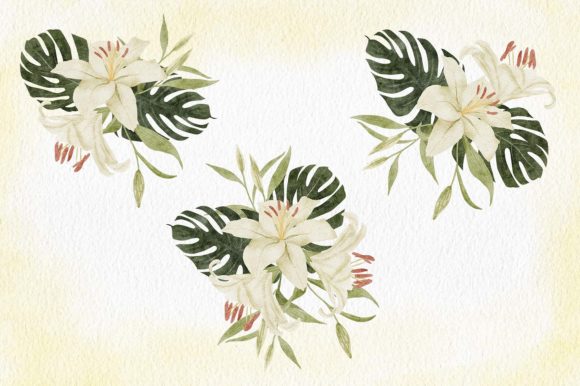 Watercolor White Lily Flower Arrangement Illustrations